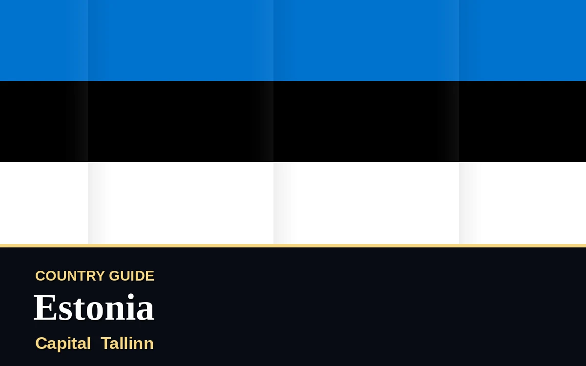 Original Estonia country guide poster with capital Tallinn, Independence Day on Wednesday, 24 February 2027, colours blue, black and white